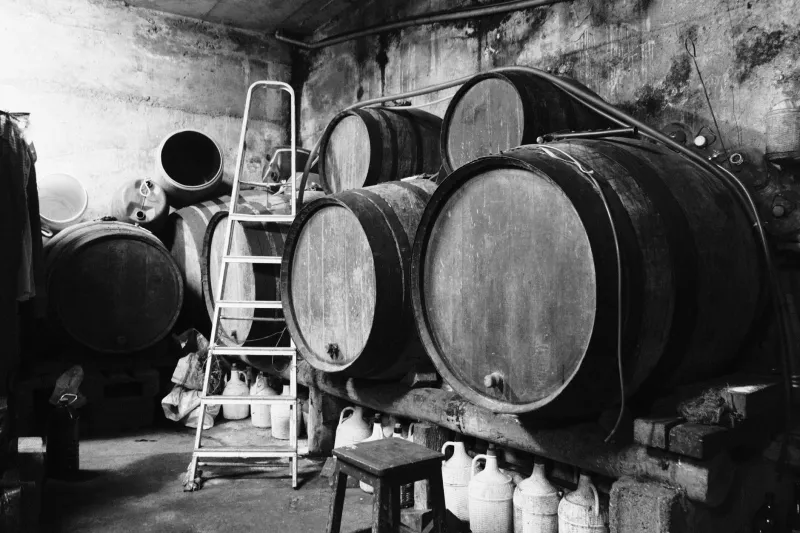 Old Stone, New Funk: The Ancient Cellars Quietly Reshaping British Beer