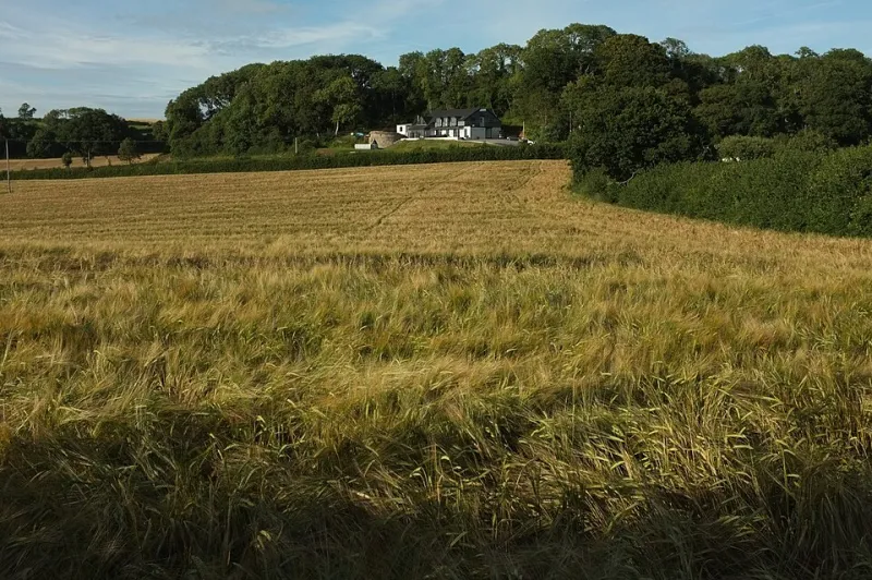 Seeds of Something Old: The Brewers and Farmers Bringing Britain's Lost Barleys Back to Life